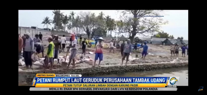 Petani Rumput Laut Datangi Perusahaan Tambak yang Diduga Cemari Lingkungan