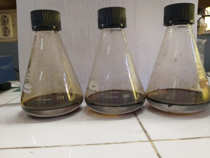 Peneliti ITS Temukan Cara Atasi Pencemaran Minyak Bumi di Laut dengan Bakteri