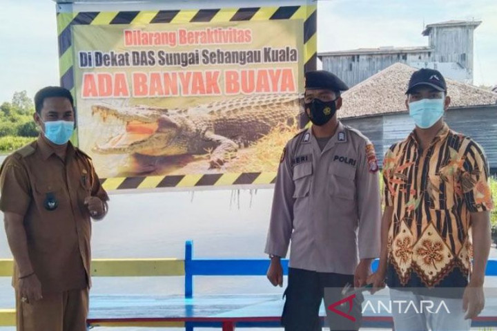 Pencari Kayu di Pulang Pisau Kalteng Tewas Diduga Diserang Buaya