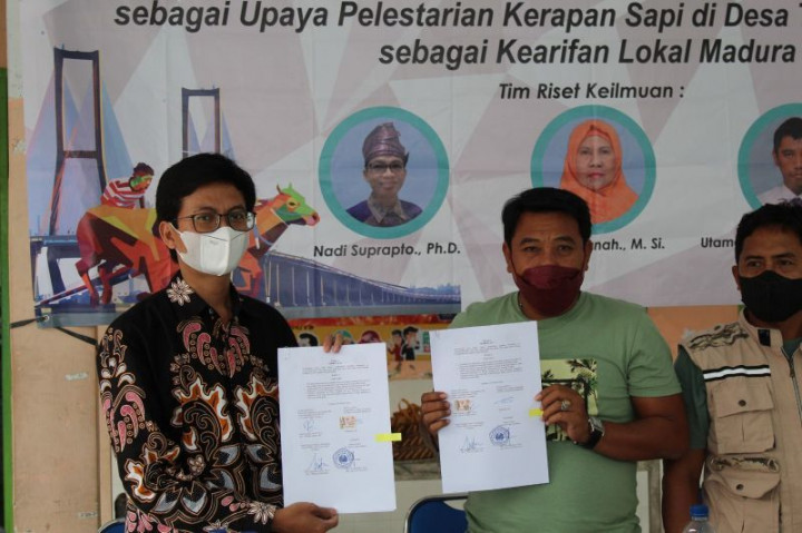 Lestarikan Budaya, 3 Dosen Unesa Mulai Teliti Pelestarian Karapan Sapi