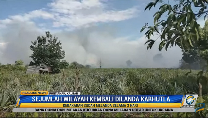 Sejumlah Lahan di Kalbar Kembali Dilanda Karhutla