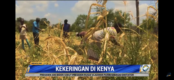 Alami Kekeringan, 4 Tahun Kenya Tak Turun Hujan