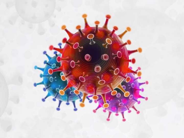 Ini 3 Varian Omicron Umum Beserta Gejalanya