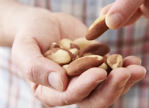 Kacang dan Apel, Kombinasi Terbaik untuk Menurunkan Berat Badan