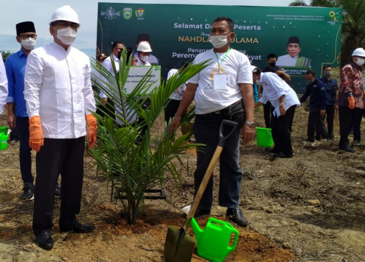 PBNU Replanting Sawit Rakyat di Muara Enim