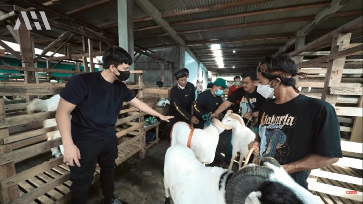 Atta Halilintar Beli 222 Kilogram Kambing untuk Akikah Baby Ameena