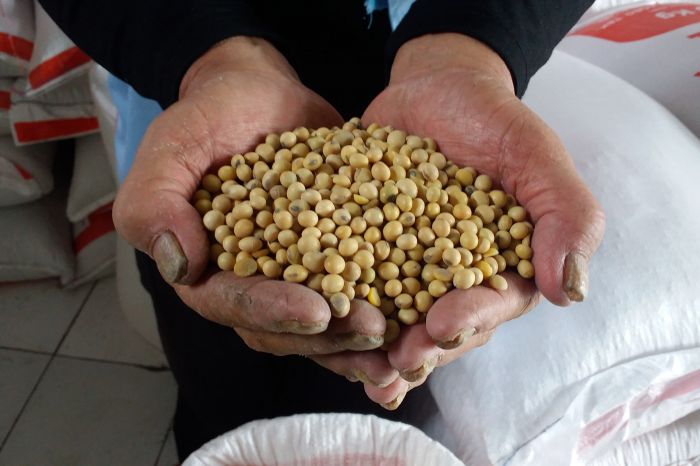 Siap-siap, Harga Kedelai hingga Daging Sapi Bakal Naik