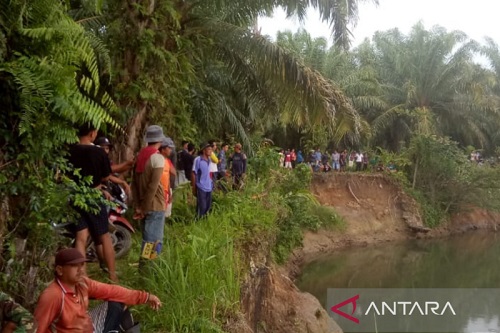Warga Mukomuko Minta BKSDA Evakuasi Buaya Pemangsa Manusia