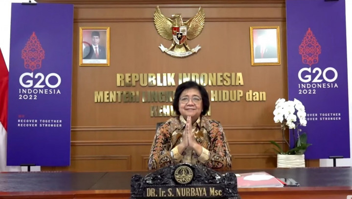 Di HUT ke-50 UNEP, Menteri KLHK Paparkan Raihan Ekonomi Hijau RI