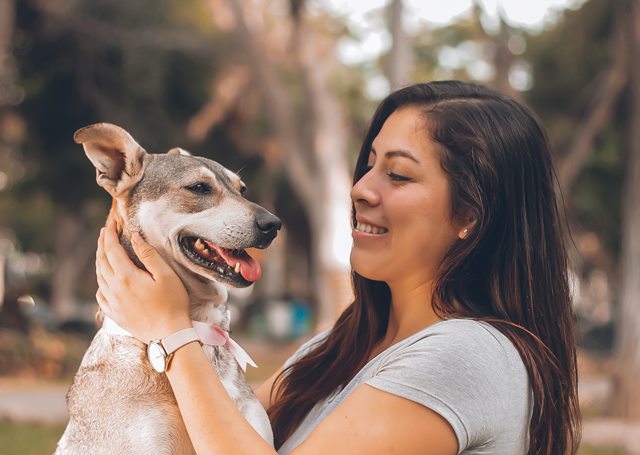 Ikatan Hewan Peliharaan dengan Manusia Berkembang Pesat Selama Pandemi