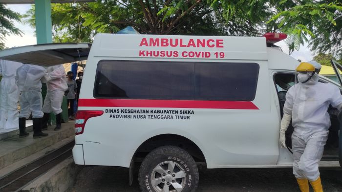 3 Bayi Baru Lahir di Sikka Positif Covid-19 dengan Gejala