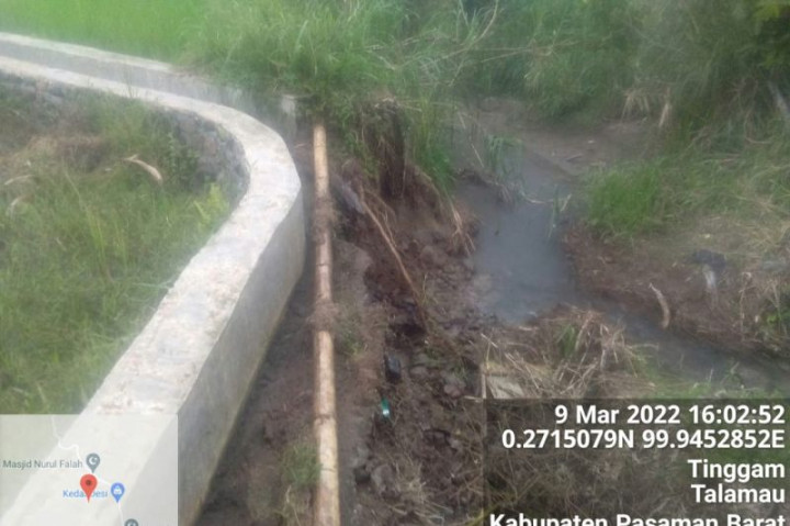 1.056 Hektare Sawah Irigasi di Pasaman Barat Terancam Kekeringan
