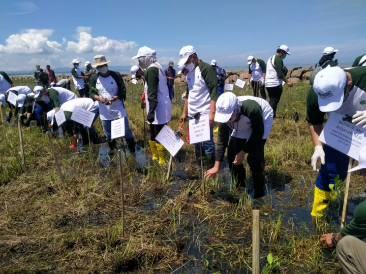 Jaga Pasokan Oksigen, Sandiaga Dorong Penanaman Mangrove