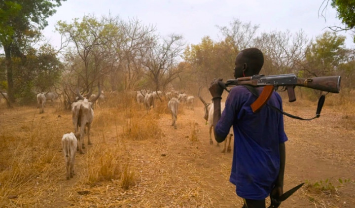 Hampir 70 Tewas dalam Bentrokan Berebut Ternak di Sudan Selatan