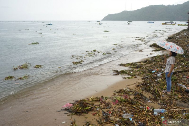Eceng Gondok Penuhi Kawasan Pantai Indah Gorontalo