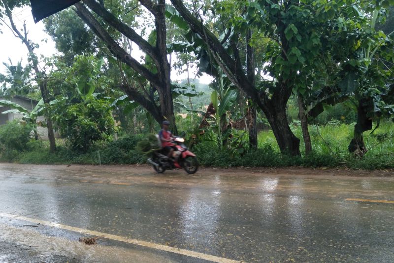 Hujan yang terjadi di wilayah Lombok Tengah (ANTARA/Akhyar)