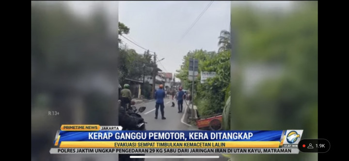 Kerap Ganggu Pemotor, Seekor Kera Ditangkap