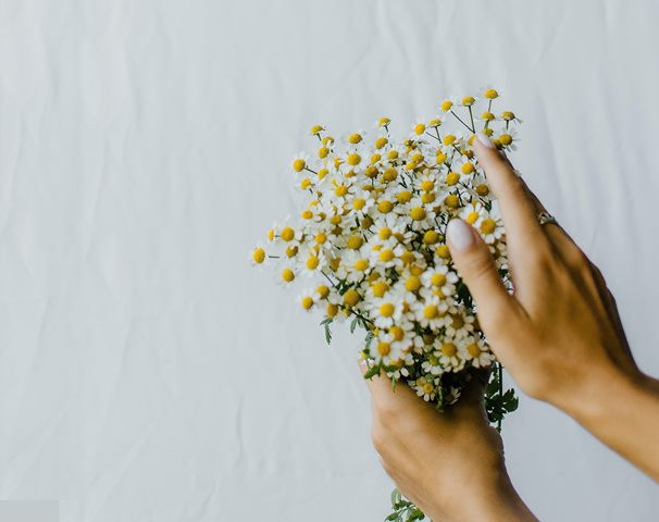 Tanaman Taman Sensorik: 5 Terbaik untuk Tumbuh di Kebun