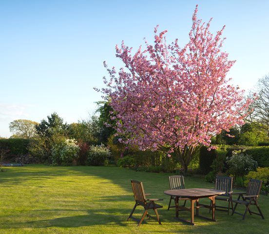 5 Cara Tanam Rumput Indahnya Bak 'Permadani' yang Sempurna