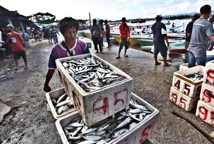 KKP Jamin Stok Ikan Cukup hingga Lebaran