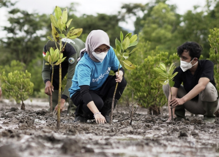 Aksi Tanam 40 Ribu Bibit Bakau di Buleleng demi Pariwisata Berkelanjutan