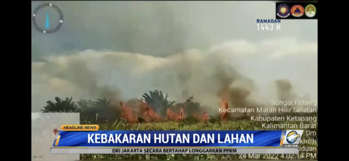 17 Hektare Lahan Terbakar di Ketapang