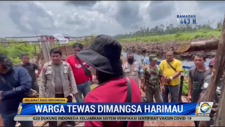Warga Tewas Diterkam Harimau di Jambi