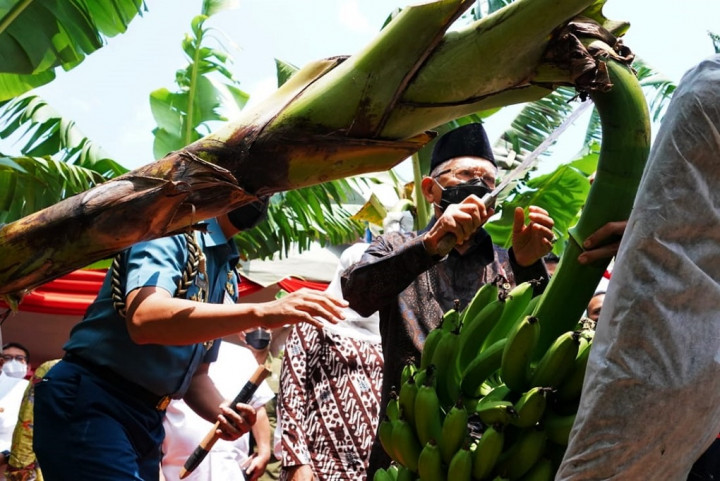 Ma'ruf Amin: Makan Dua Buah Pisang Mengganti Satu Porsi Nasi