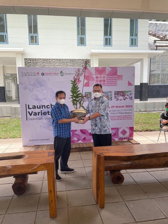 IPB Punya 3 Anggrek Jenis Baru, Salah Satunya Dinamakan Rektor IPB Arif Satria