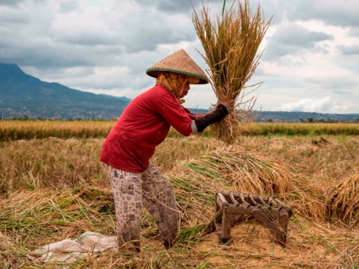 Jaga Keberlanjutan Usaha Masyarakat, PKT Ciptakan Kemandirian Ekonomi