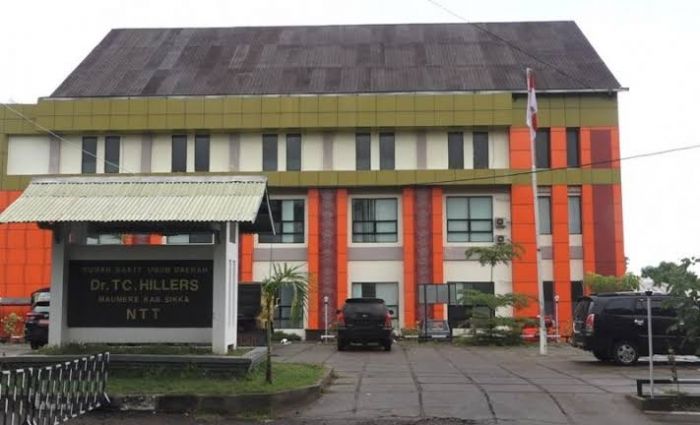 DBD di Sikka Telan Korban Lagi, Seorang Siswa SD Meninggal
