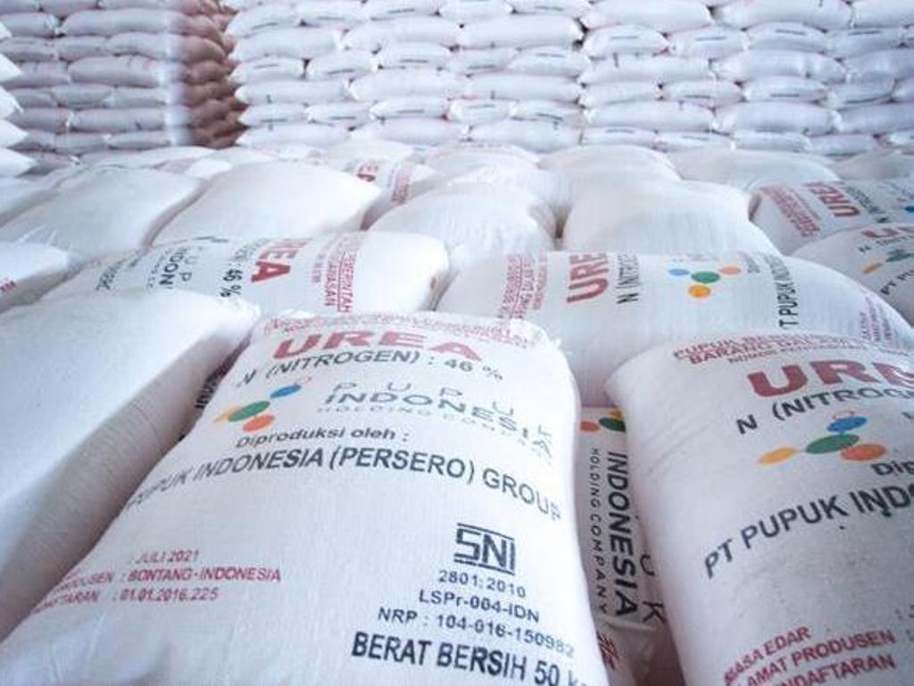 Ilustrasi. FOTO: Pupuk Indonesia.