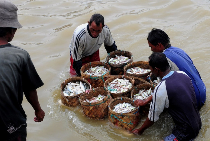 KKP Kebut Pembangunan 5 Sentra Perikanan Pakai Dana Hibah Jepang