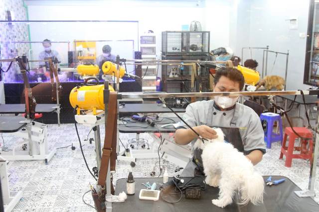 New pet shop ini melengkapi re-konsep dari Gajah Mada Plaza. (Foto: Dok. Istimewa)