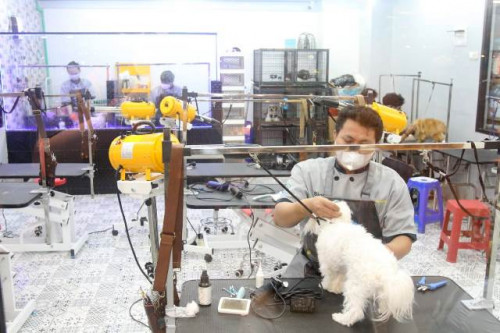 Pets Park, Lengkapi Treatment Anabul Kamu di Sini