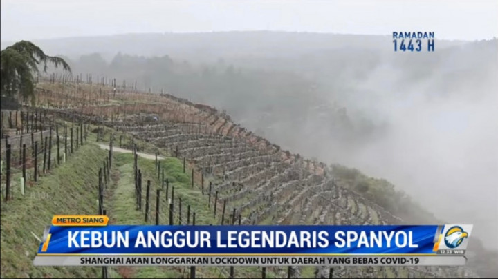 Berkunjung ke Kebun Anggur Penghasil <i>Wine</i> Legenda di Spanyol