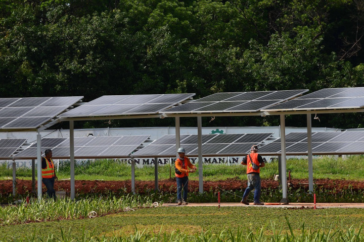 PLN Dukung Implementasi Kebijakan PLTS Atap