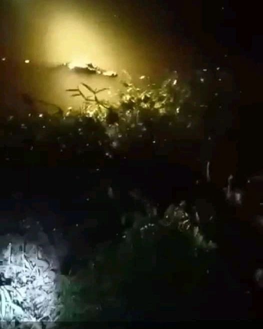 Tanggul Jebol usai Hujan, 82 Buaya di Banyuasin Lepas dari Penangkaran