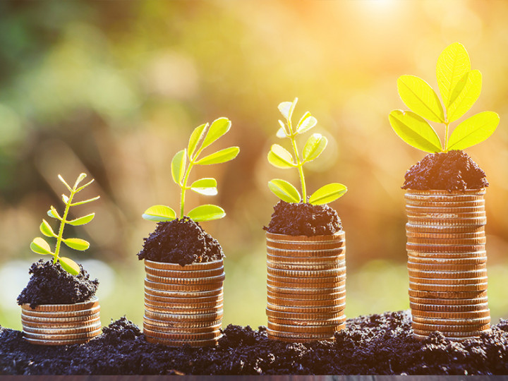 Ini Tantangan Pengembangan Investasi Berkelanjutan di Indonesia