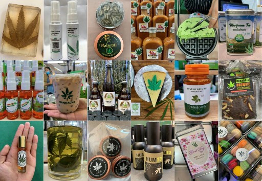 Gempar, Malaysia Bahas Legalisasi Ganja untuk Medis