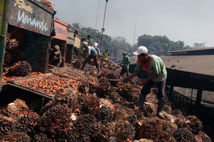 BI: Meski Terkontraksi, Penggunaan Tenaga Kerja Terus Alami Perbaikan