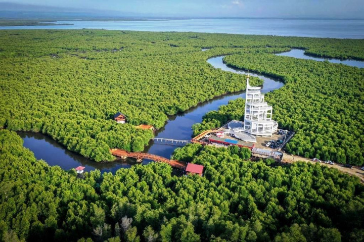 Tower Mangrove Forest Park Langsa jadi Ikon Pariwisata Baru di Aceh