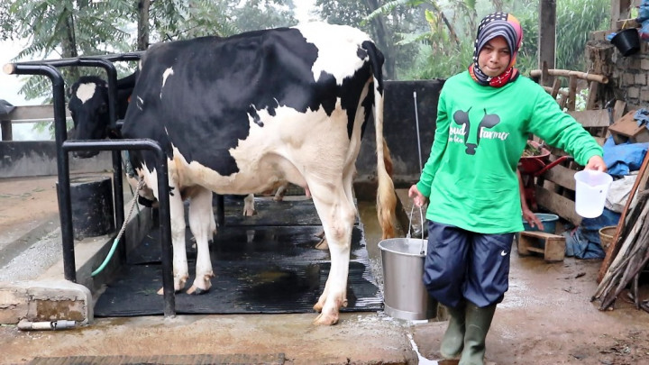 Mengenal Nenih, Sosok Kartini Peternak Perempuan Indonesia