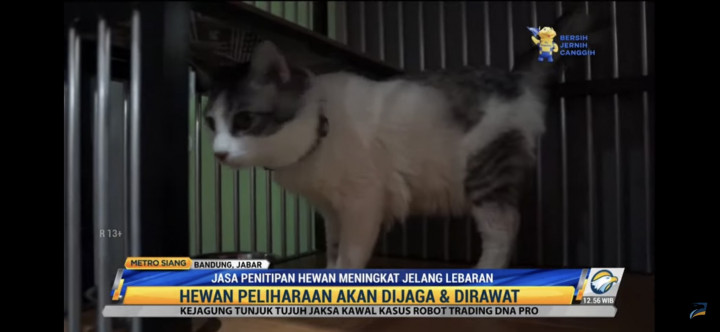 Jelang Mudik Lebaran, Jasa Penitipan Hewan Meningkat