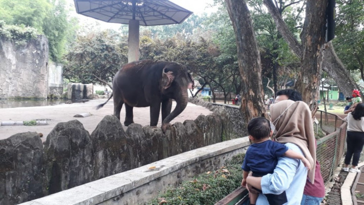 Pemerintah Didorong Wajibkan Syarat <i>Booster</i> di Tempat Wisata