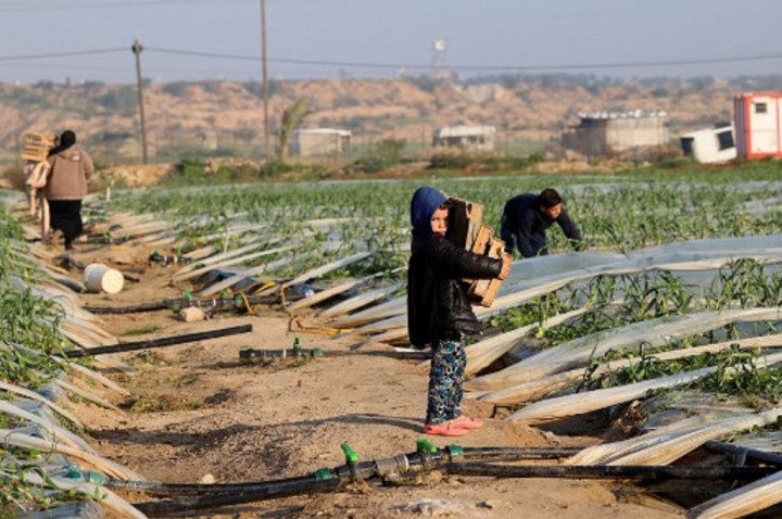 Israel akan Tutup Perbatasan Erez dari Jalur Gaza usai Serangan Roket