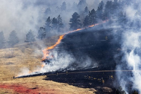 Ribuan Orang Melarikan Diri dari Kebakaran Hutan di New Mexico
