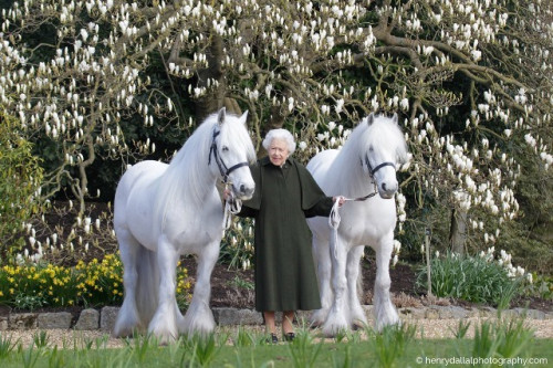 Ini foto megah Ratu Elizabeth untuk ulang tahun ke-96 tahun. (Foto: Dok. Henry Dallal Photography/People.com)