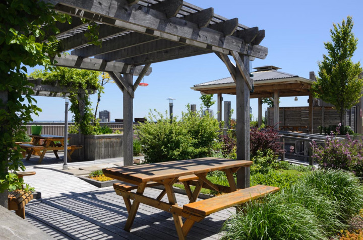 5 Cara Membuat <i>Rooftop Garden</i> di Rumah