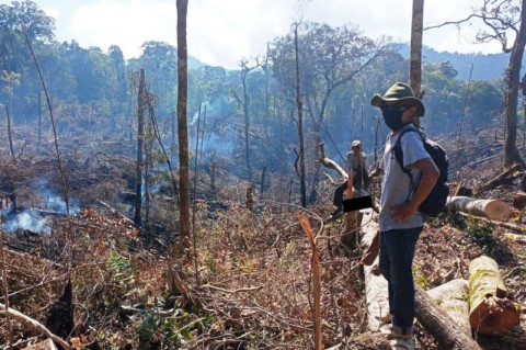 1 Pelaku Pembakaran Hutan di Kabupaten Solok Ditetapkan Tersangka